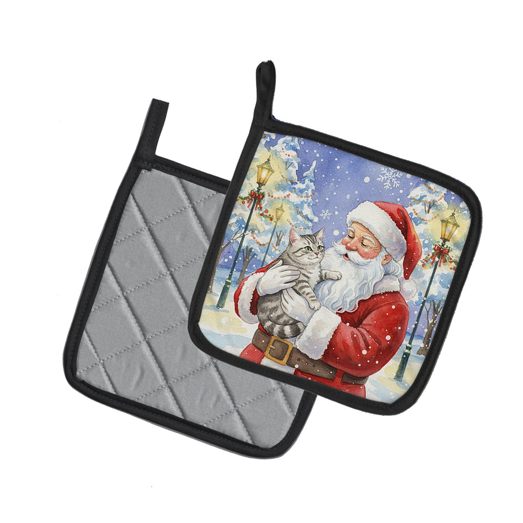 Silver Mackerel Tabby Cat with Santa Claus Pot Holder Set of 2 Heat Resistant Quilted Hot Pads 7.5 x 7.5 Inch, Insulated Kitchen Trivets for Cooking & Baking