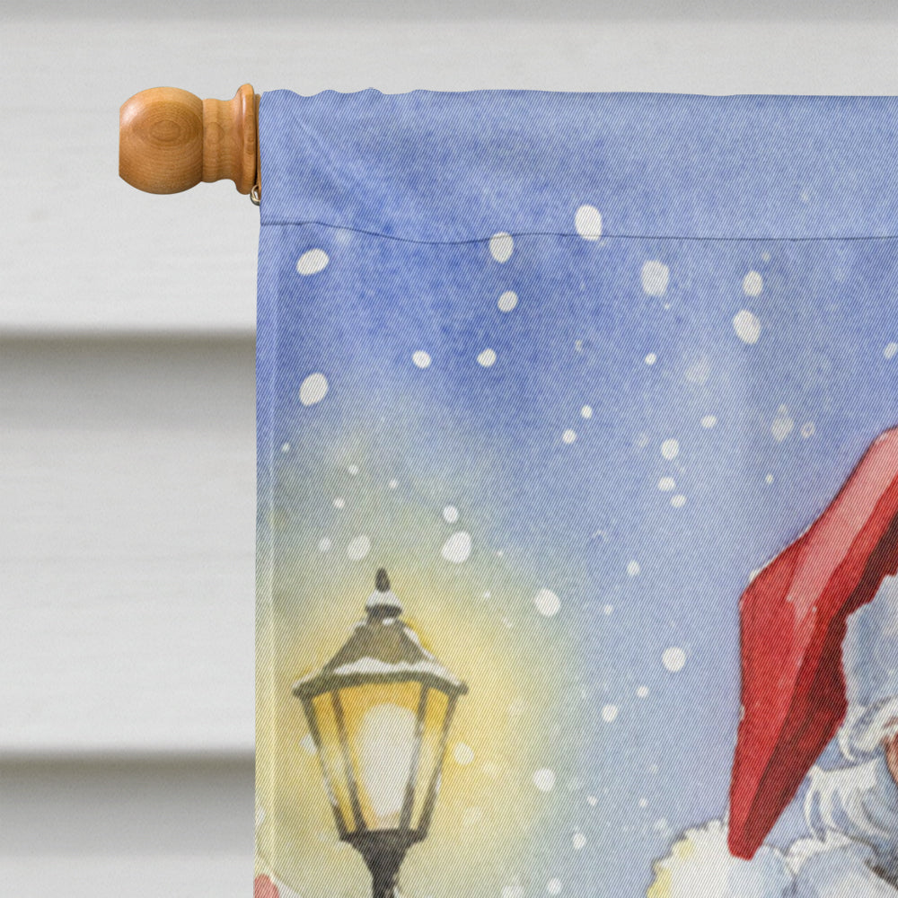 Sphynx Cat with Santa Claus House Flag 28x40 Porch Sleeve Pole Decorative Outside Yard Banner Artwork Wall Hanging, Polyester