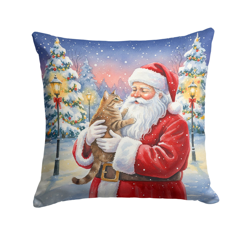 Ticked Tabby Brown Cat with Santa Claus Decorative Throw Pillow 18x18 Indoor Outdoor Accent Cushion, Fabric Cover with Insert for Sofa, Bed, Porch & Living Room
