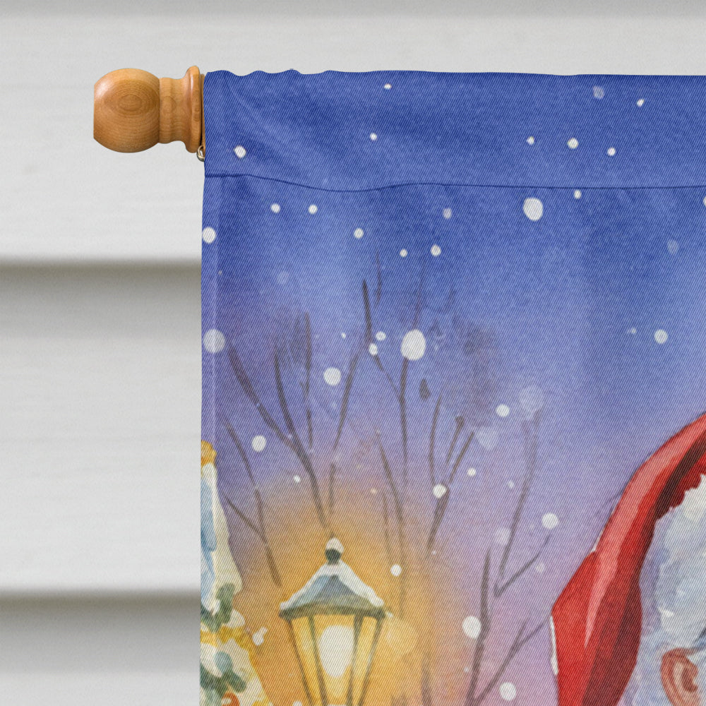 Cockatoo with Santa Claus House Flag 28x40 Porch Sleeve Pole Decorative Outside Yard Banner Artwork Wall Hanging, Polyester