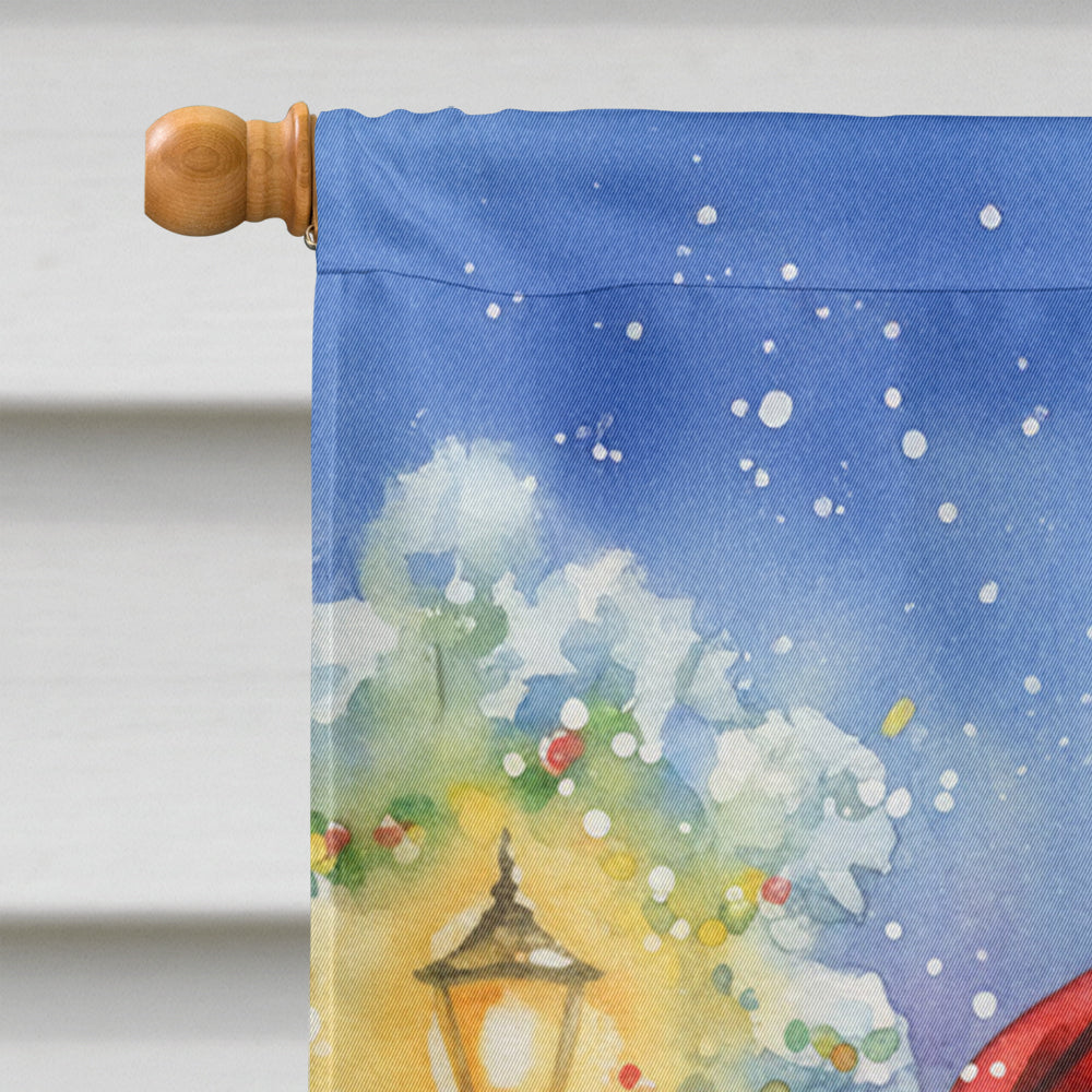 Congo African Grey Parrot with Santa Claus House Flag 28x40 Porch Sleeve Pole Decorative Outside Yard Banner Artwork Wall Hanging, Polyester
