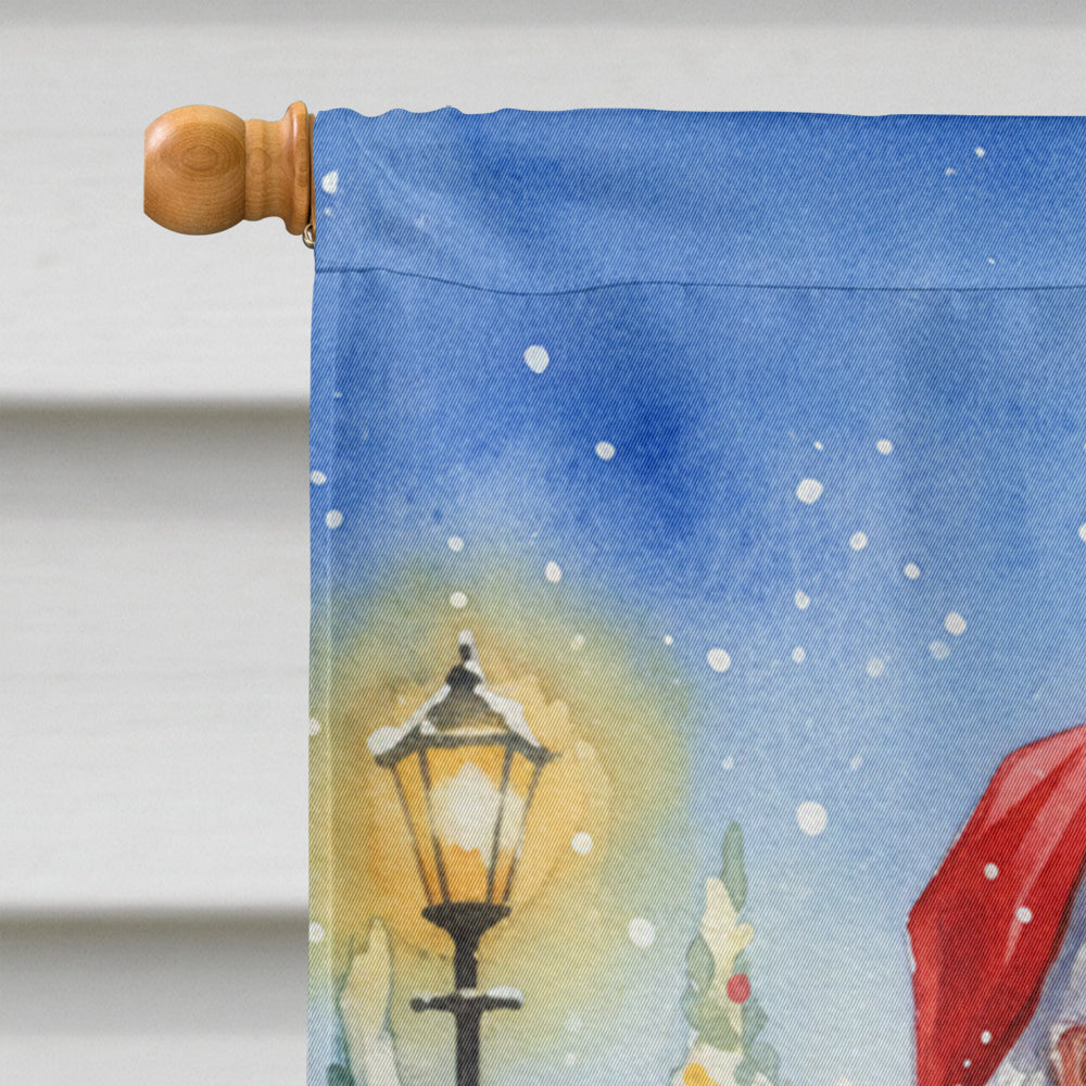 Female Eclectus with Santa Claus House Flag 28x40 Porch Sleeve Pole Decorative Outside Yard Banner Artwork Wall Hanging, Polyester
