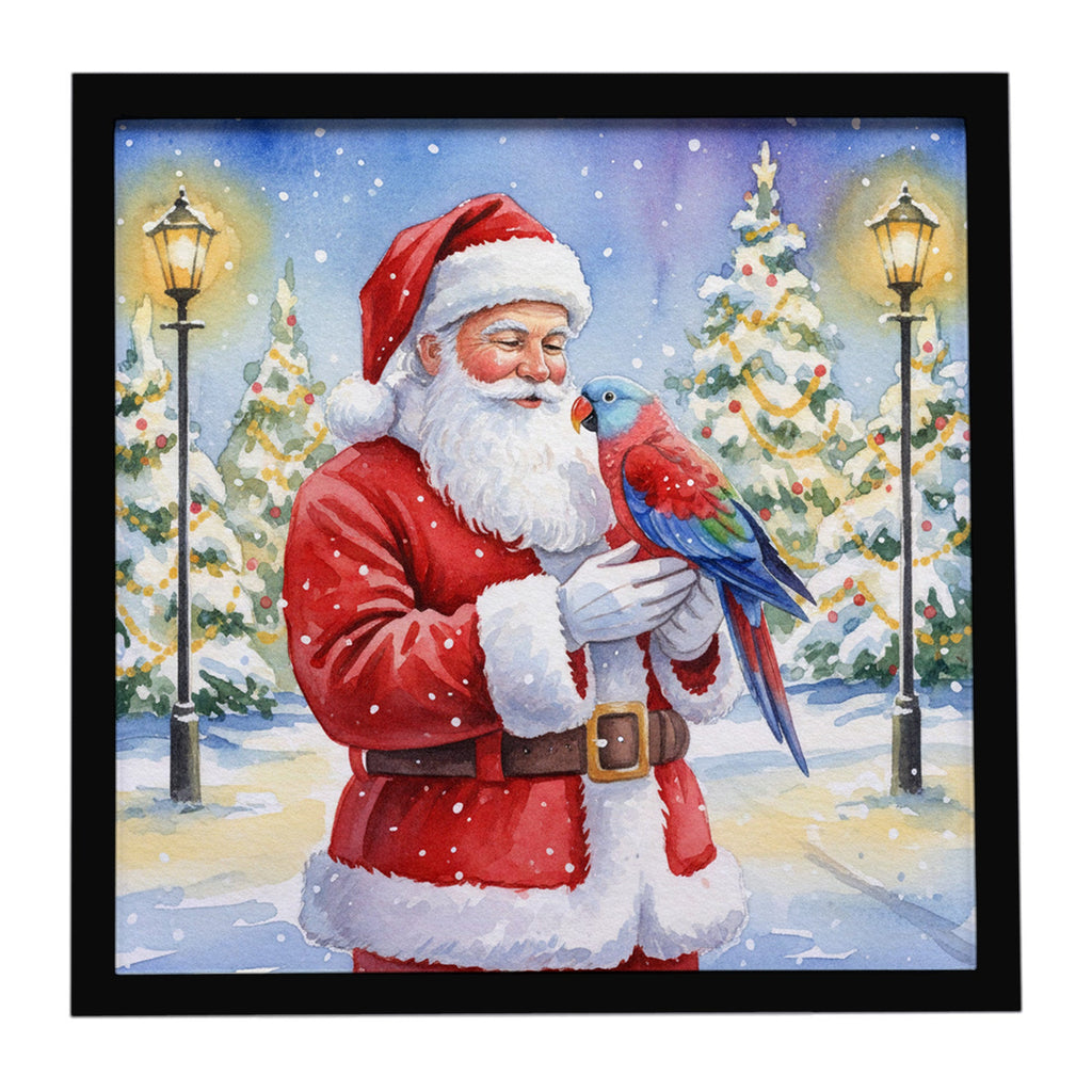 Female Eclectus with Santa Claus Framed Metal Print Bathroom, Kitchen, Office, Home Decor Wall Art Ready to Hang, Square, 8X8