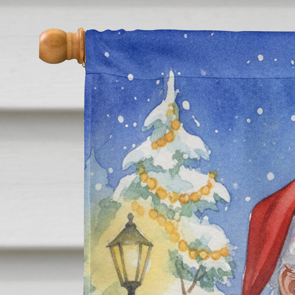 Gouldian Finch with Santa Claus House Flag 28x40 Porch Sleeve Pole Decorative Outside Yard Banner Artwork Wall Hanging, Polyester