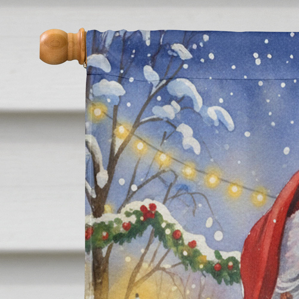 Green Cheeked Conure Parrot with Santa Claus House Flag 28x40 Porch Sleeve Pole Decorative Outside Yard Banner Artwork Wall Hanging, Polyester