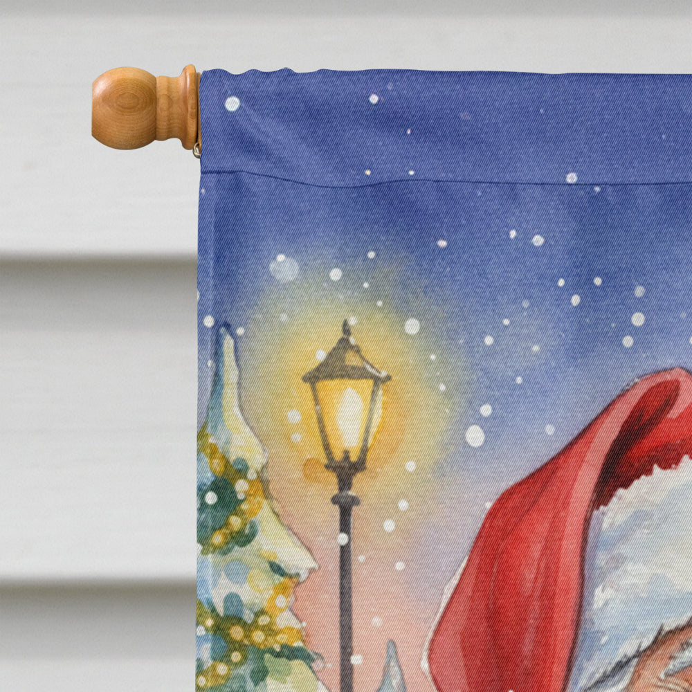 Hahn’s Macaw Parrot with Santa Claus House Flag 28x40 Porch Sleeve Pole Decorative Outside Yard Banner Artwork Wall Hanging, Polyester