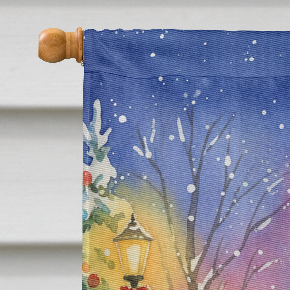 Hyacinth Macaw with Santa Claus House Flag 28x40 Porch Sleeve Pole Decorative Outside Yard Banner Artwork Wall Hanging, Polyester