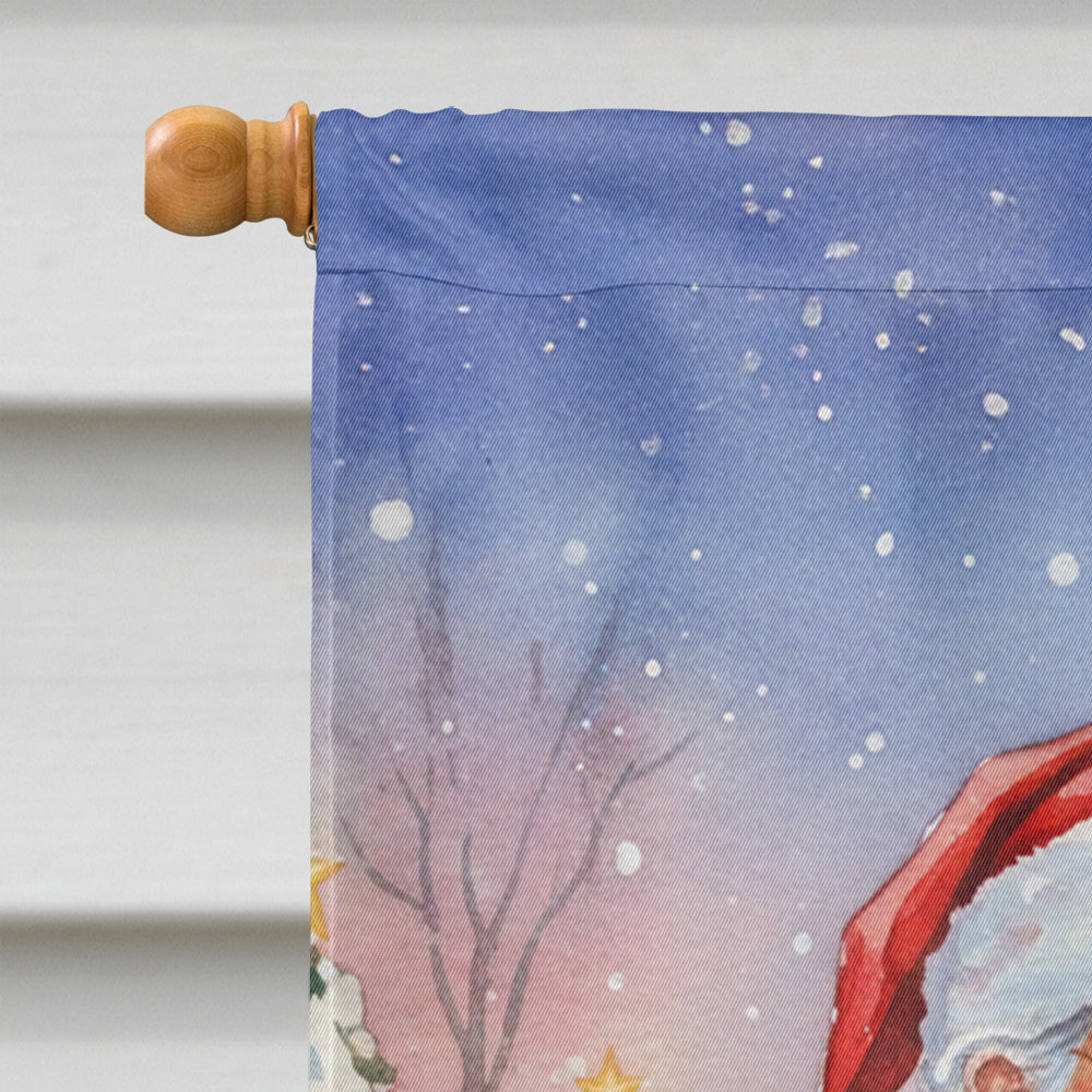 Lorikeet with Santa Claus House Flag 28x40 Porch Sleeve Pole Decorative Outside Yard Banner Artwork Wall Hanging, Polyester