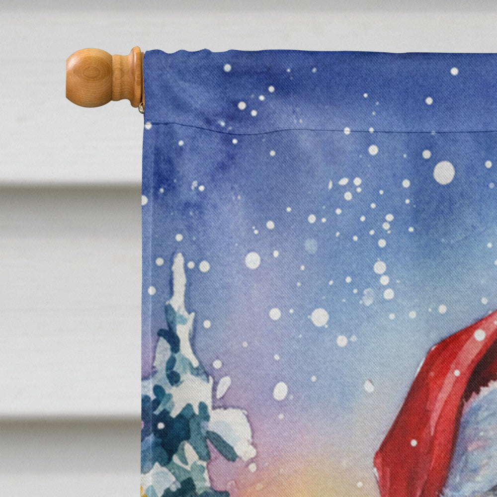 Lovebird with Santa Claus House Flag 28x40 Porch Sleeve Pole Decorative Outside Yard Banner Artwork Wall Hanging, Polyester