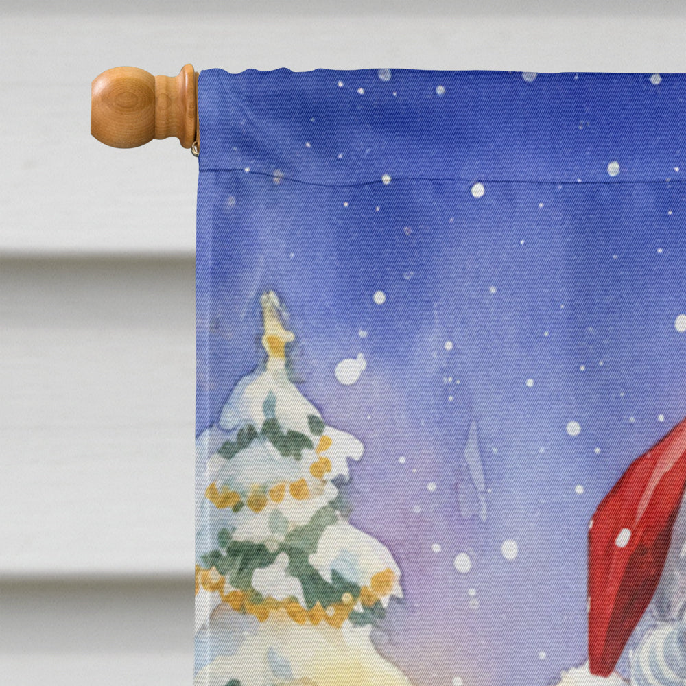 Macaw with Santa Claus House Flag 28x40 Porch Sleeve Pole Decorative Outside Yard Banner Artwork Wall Hanging, Polyester