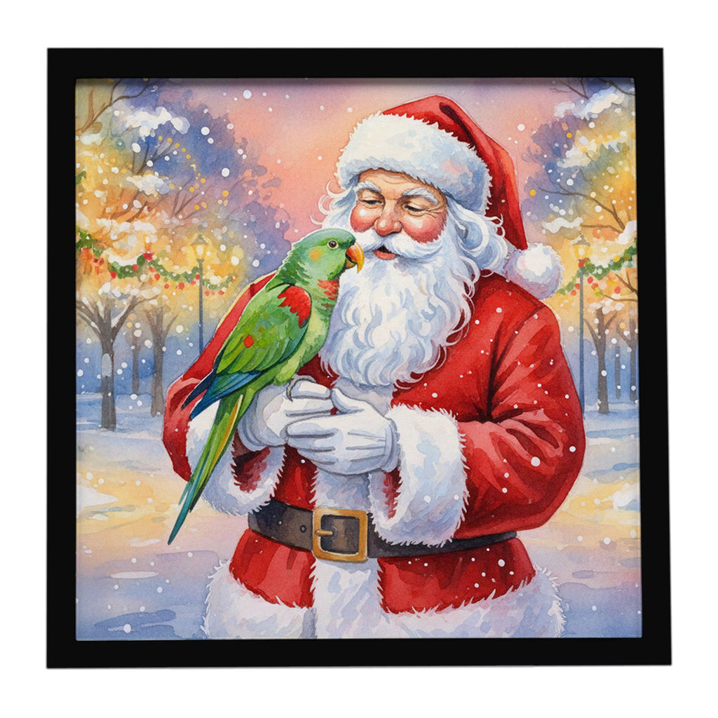 Male Eclectus with Santa Claus Framed Metal Print Bathroom, Kitchen, Office, Home Decor Wall Art Ready to Hang, Square, 8X8
