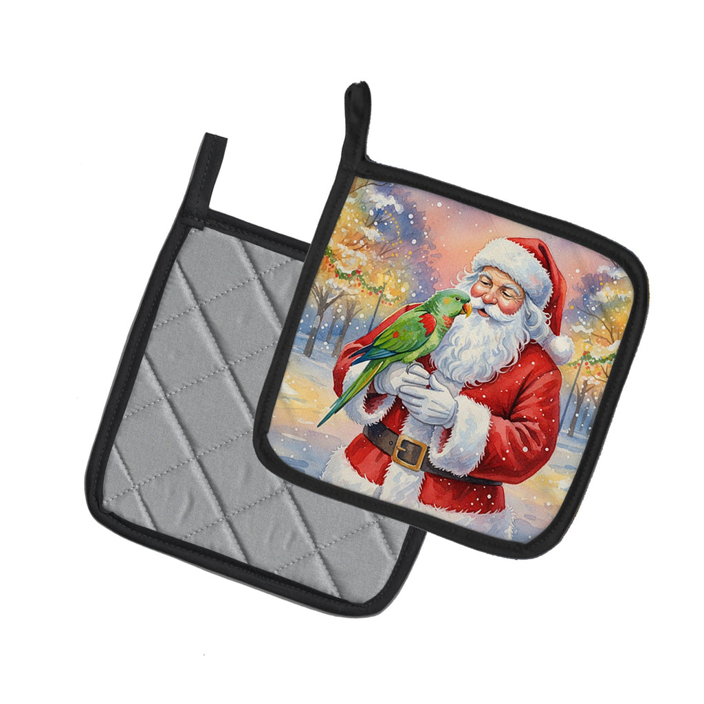 Male Eclectus with Santa Claus Pot Holder Set of 2 Heat Resistant Quilted Hot Pads 7.5 x 7.5 Inch, Insulated Kitchen Trivets for Cooking & Baking