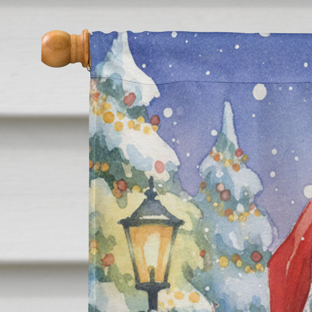 Parrotlet with Santa Claus House Flag 28x40 Porch Sleeve Pole Decorative Outside Yard Banner Artwork Wall Hanging, Polyester
