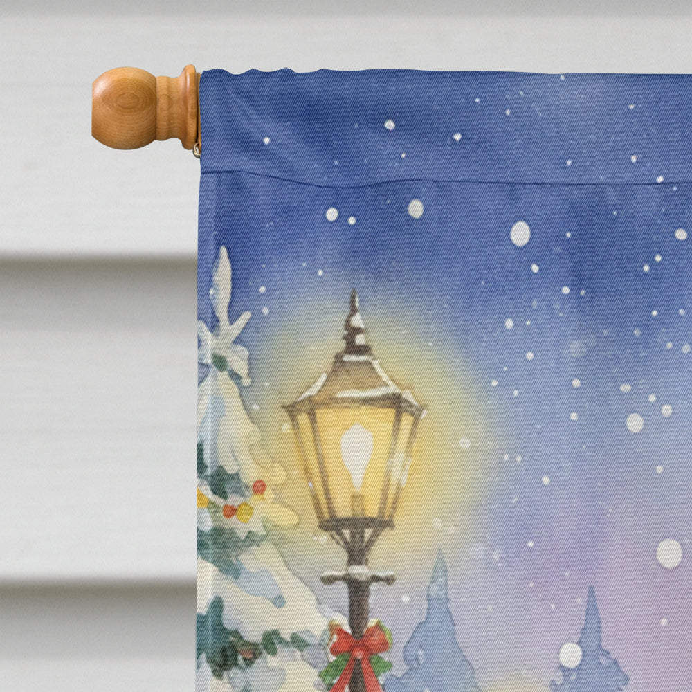 Peacock with Santa Claus House Flag 28x40 Porch Sleeve Pole Decorative Outside Yard Banner Artwork Wall Hanging, Polyester