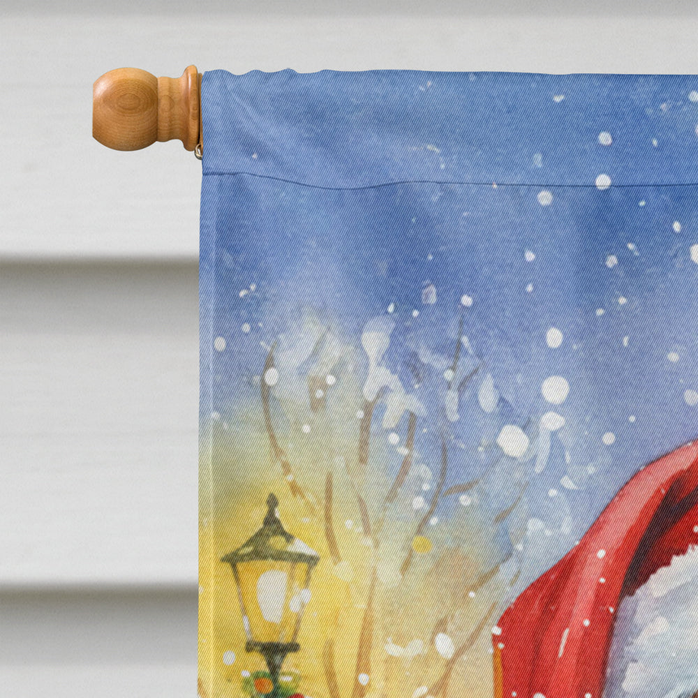 Rainbow Lorikeet with Santa Claus House Flag 28x40 Porch Sleeve Pole Decorative Outside Yard Banner Artwork Wall Hanging, Polyester