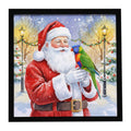 Rainbow Lorikeet with Santa Claus Framed Metal Print Bathroom, Kitchen, Office, Home Decor Wall Art Ready to Hang, Square, 8X8