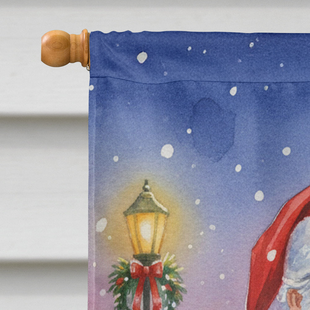 Red Lory with Santa Claus House Flag 28x40 Porch Sleeve Pole Decorative Outside Yard Banner Artwork Wall Hanging, Polyester