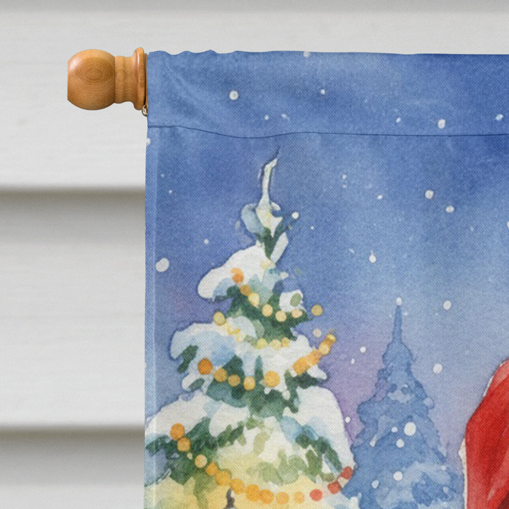 Senegal Parrot with Santa Claus House Flag 28x40 Porch Sleeve Pole Decorative Outside Yard Banner Artwork Wall Hanging, Polyester