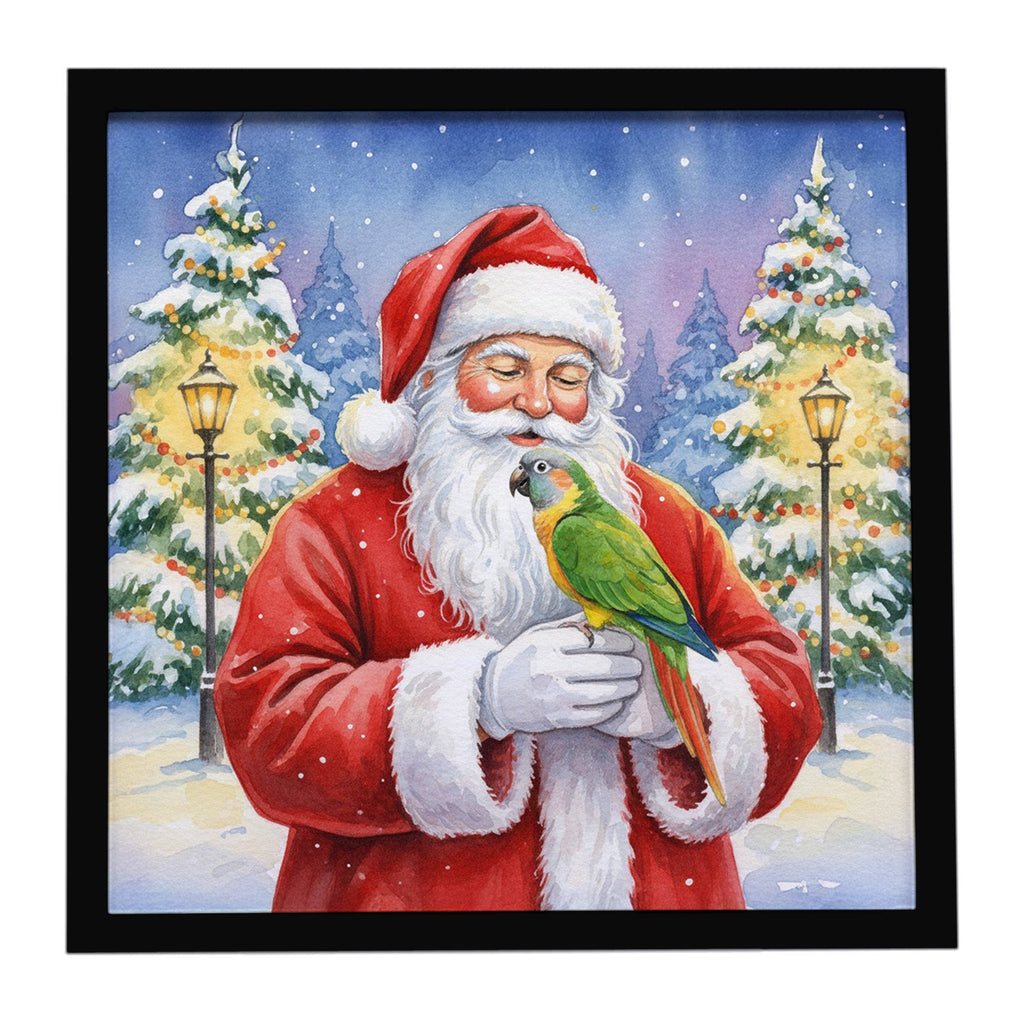 Senegal Parrot with Santa Claus Framed Metal Print Bathroom, Kitchen, Office, Home Decor Wall Art Ready to Hang, Square, 8X8