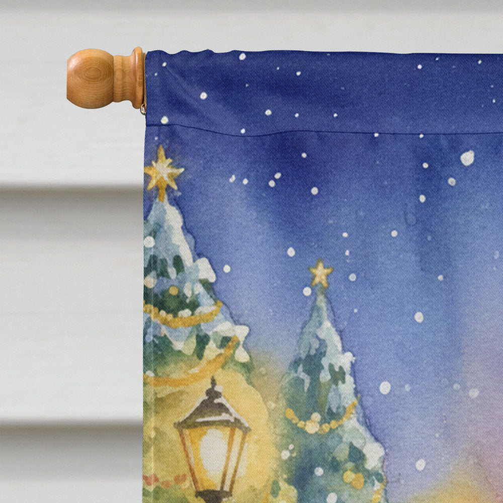 Society Finch with Santa Claus House Flag 28x40 Porch Sleeve Pole Decorative Outside Yard Banner Artwork Wall Hanging, Polyester