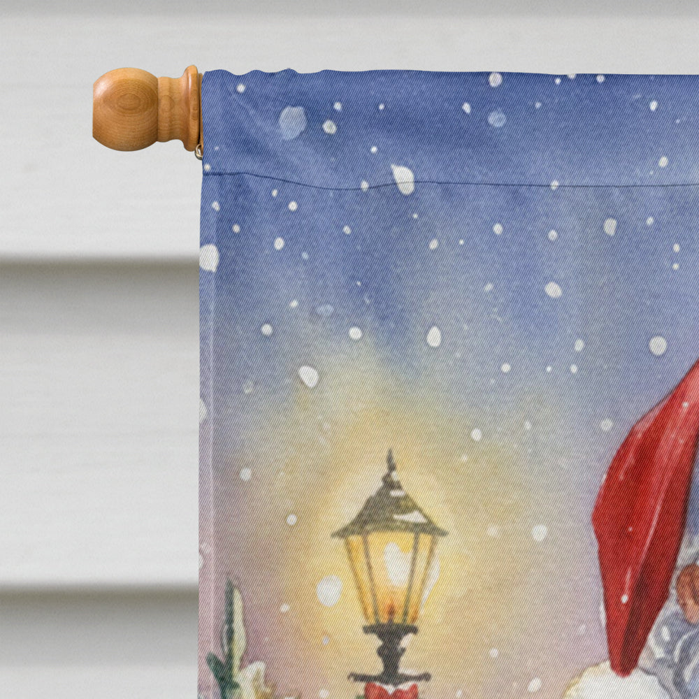 Timneh African Grey with Santa Claus House Flag 28x40 Porch Sleeve Pole Decorative Outside Yard Banner Artwork Wall Hanging, Polyester