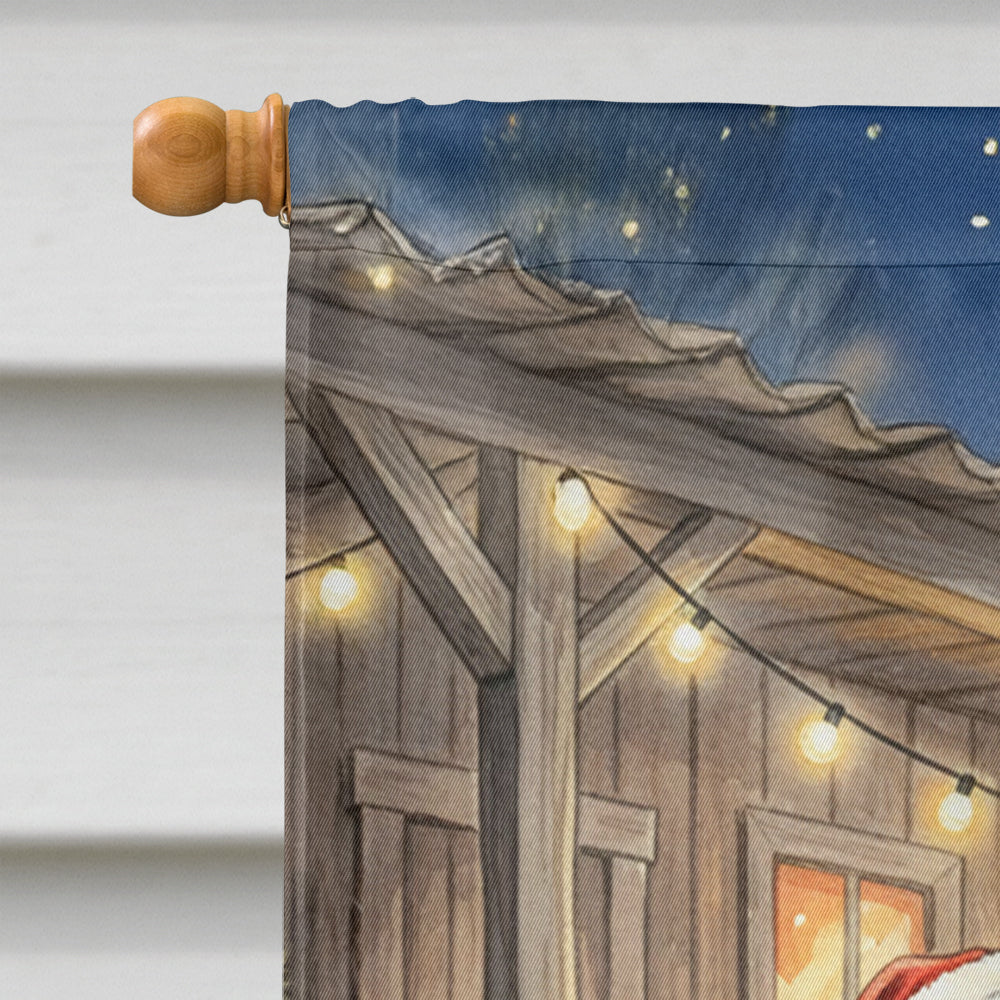 Cajun Santa Claus Playing Zydeco Christmas House Flag 28x40 Porch Sleeve Pole Decorative Outside Yard Banner Artwork Wall Hanging, Polyester