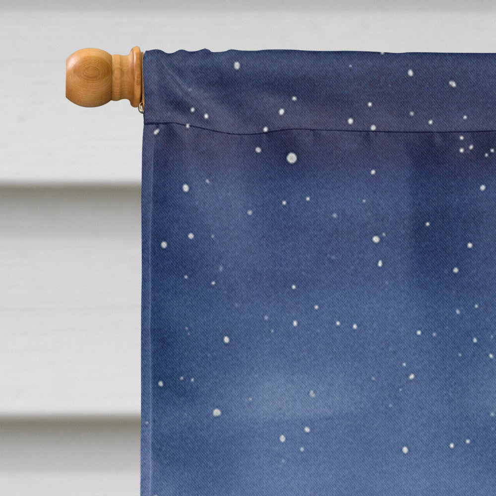 Santa Claus by the Campfire Under the Stars Christmas House Flag 28x40 Porch Sleeve Pole Decorative Outside Yard Banner Artwork Wall Hanging, Polyester