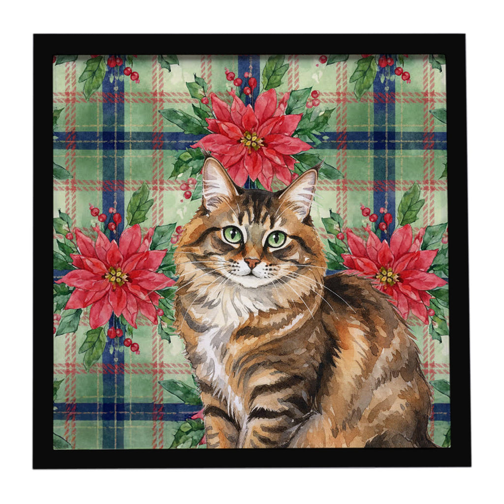 Norwegian Forest Cat Brown Tabby Cat with Poinsettias Framed Metal Print Bathroom, Kitchen, Office, Home Decor Wall Art Ready to Hang, Square, 8X8