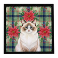 Ragdoll Bicolor Cat with Poinsettias Framed Metal Print Bathroom, Kitchen, Office, Home Decor Wall Art Ready to Hang, Square, 8X8