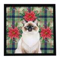 Ragdoll Seal Point Cat with Poinsettias Framed Metal Print Bathroom, Kitchen, Office, Home Decor Wall Art Ready to Hang, Square, 8X8
