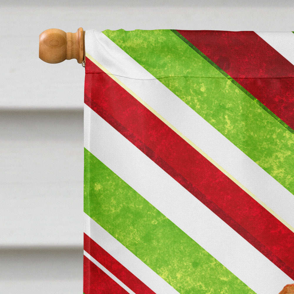Dachshund Candy Cane Holiday Christmas House Flag 28x40 Porch Sleeve Pole Decorative Outside Yard Banner Artwork Wall Hanging, Polyester