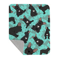 Black French Bulldog Quilted Blanket 50x60 Artwork Pattern Quilted Throw Blanket for Bed, Couch, Sofa, Soft and Lightweight