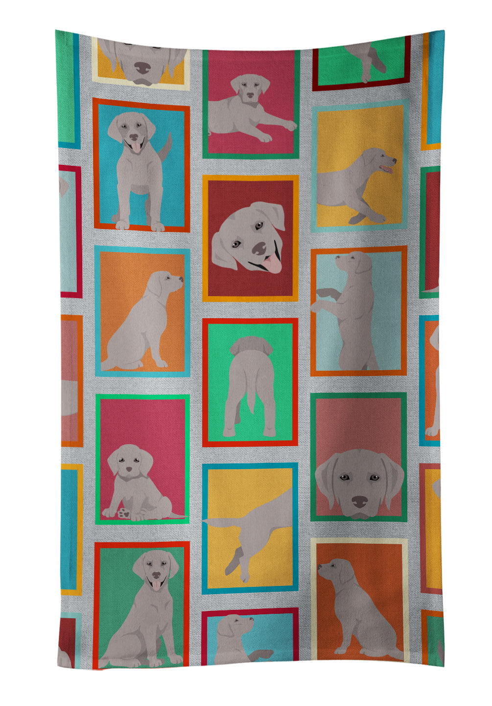 Lots of Grey Labrador Retriever Kitchen Towel Velour Plush Front and Cotton Loop Back Machine Washable