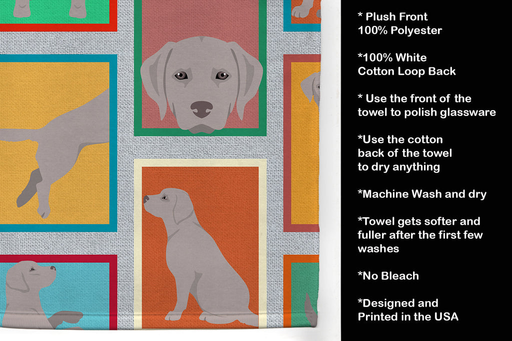 Lots of Grey Labrador Retriever Kitchen Towel Velour Plush Front and Cotton Loop Back Machine Washable