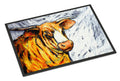 Bully Doormat Indoor Outdoor 24H X 36W Front Door Mat Rugs for Entryway, Non Slip Washable Low Pile,
