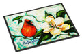 Cardinal Aqua Doormat Indoor Outdoor 18H X 27W Front Door Mat Rugs for Entryway, Non Slip Washable