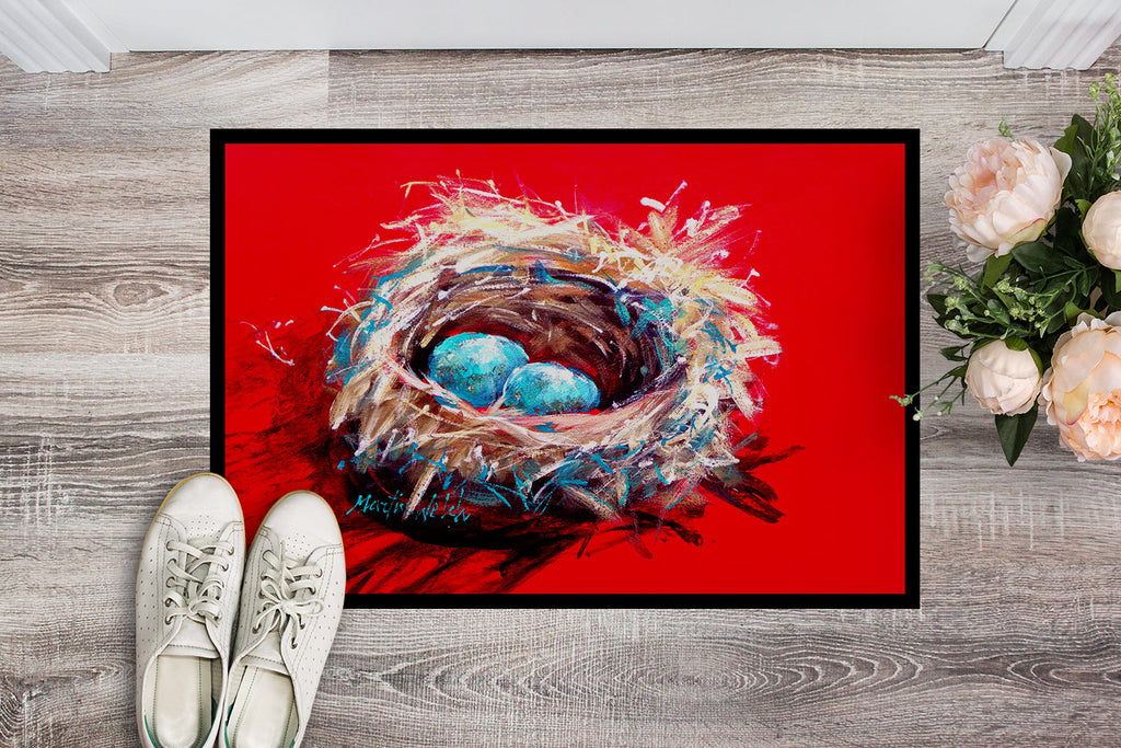 Egg-Stra Special Bird Nest Doormat Indoor Outdoor 24H X 36W Front Door Mat Rugs for Entryway, Non Slip Washable Low Pile,