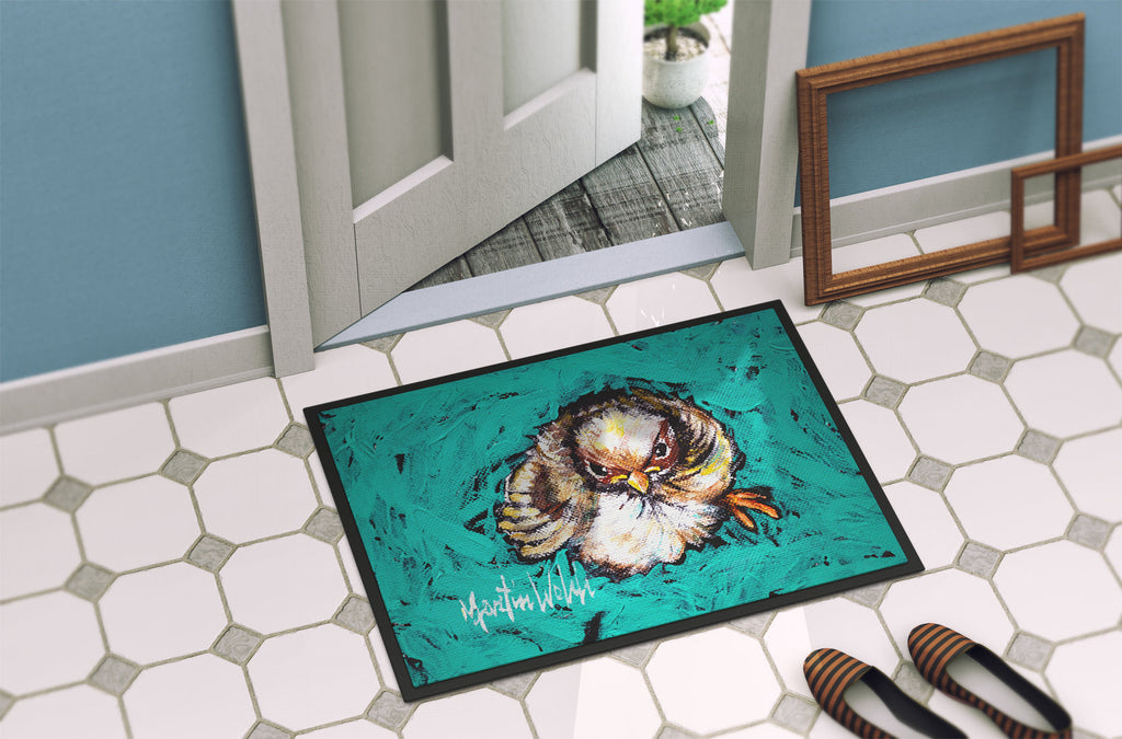 Fiest Chic Bird Doormat Indoor Outdoor 24H X 36W Front Door Mat Rugs for Entryway, Non Slip Washable Low Pile,