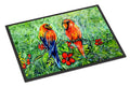 Fred and Freda Parrots Doormat Indoor Outdoor 24H X 36W Front Door Mat Rugs for Entryway, Non Slip Washable Low Pile,