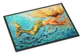 Mermaid After Your Heart Doormat Indoor Outdoor 24H X 36W Front Door Mat Rugs for Entryway, Non Slip Washable Low Pile,