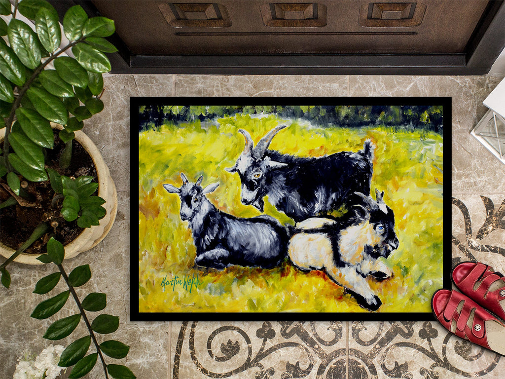 Scooter Pooter and Tooter Goats Doormat Indoor Outdoor 24H X 36W Front Door Mat Rugs for Entryway, Non Slip Washable Low Pile,