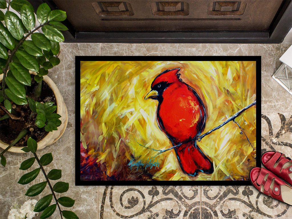 Sha Red Baba Bird Doormat Indoor Outdoor 24H X 36W Front Door Mat Rugs for Entryway, Non Slip Washable Low Pile,