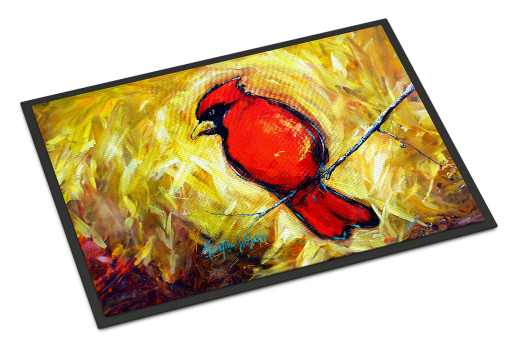 Sha Red Baba Bird Doormat Indoor Outdoor 18H X 27W Front Door Mat Rugs for Entryway, Non Slip Washable