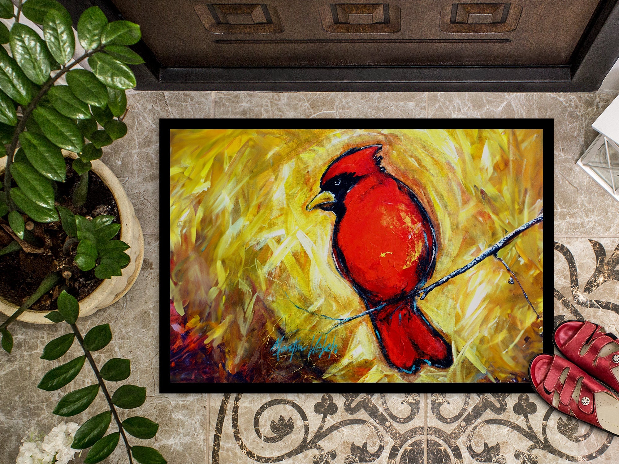 Sha Red Baba Bird Doormat Indoor Outdoor 18H X 27W Front Door Mat Rugs for Entryway, Non Slip Washable