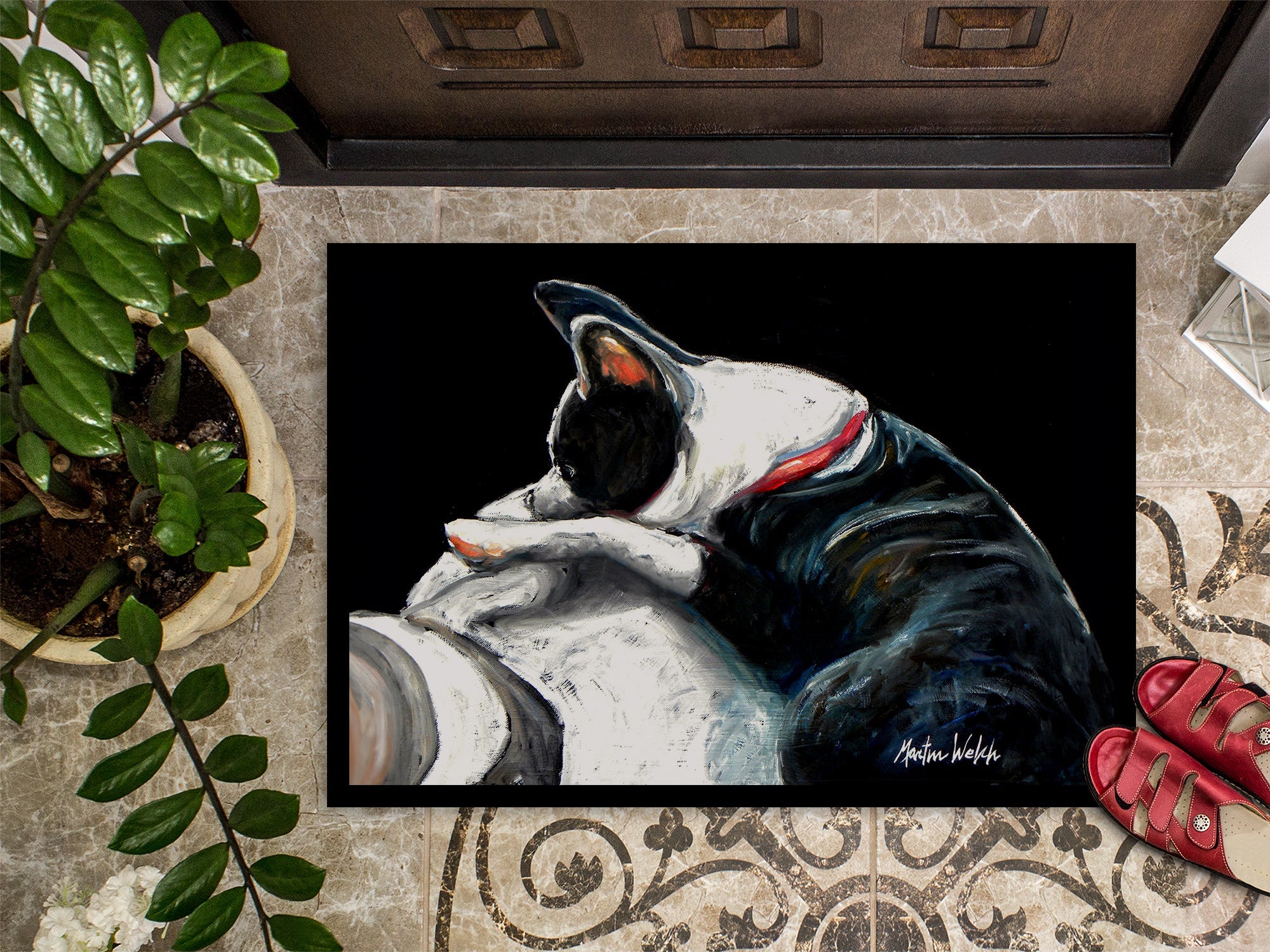 Boston Terrier Spot In The Sun Doormat Indoor Outdoor 24H X 36W Front Door Mat Rugs for Entryway, Non Slip Washable Low Pile,
