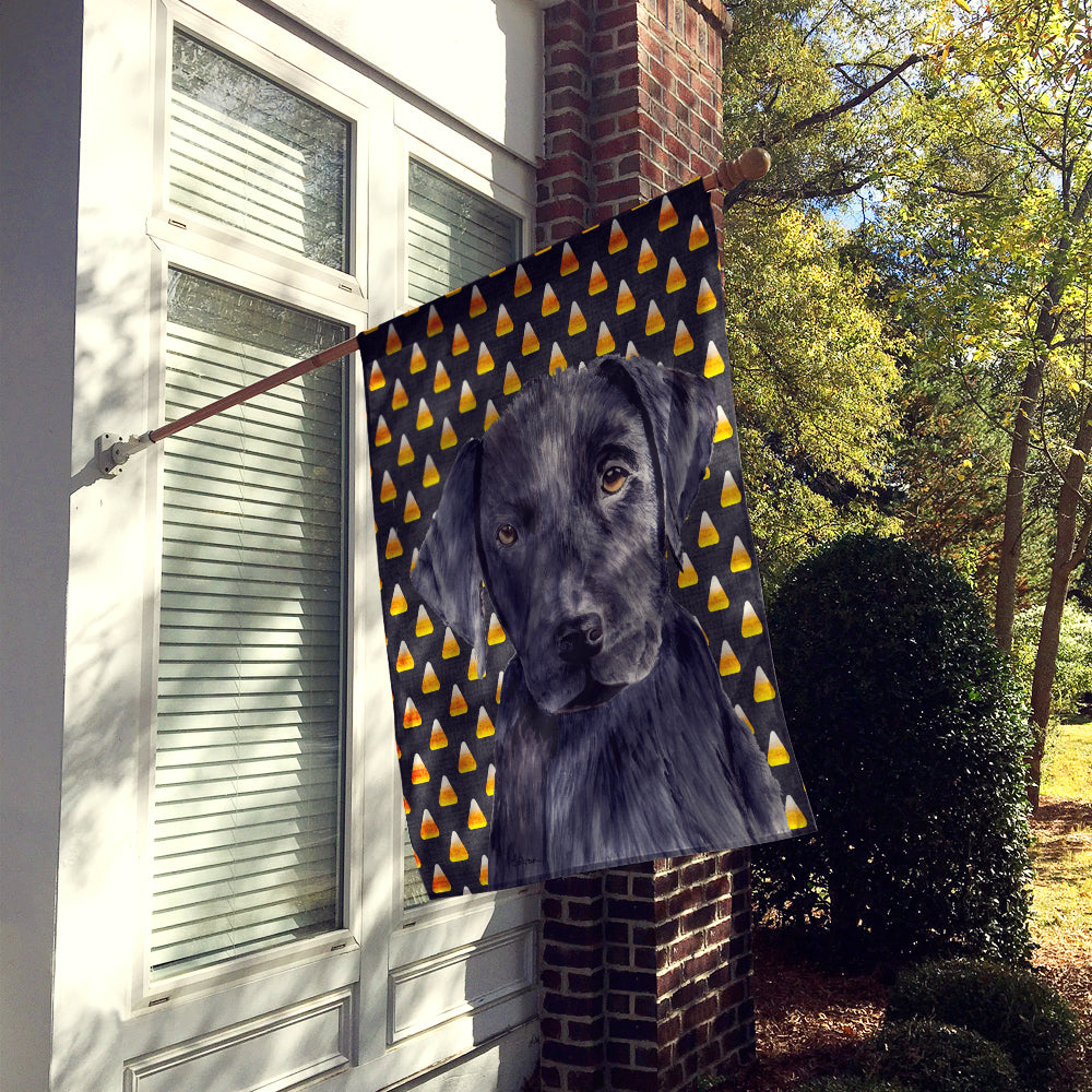 Labrador Candy Corn Halloween Portrait House Flag 28x40 Porch Sleeve Pole Decorative Outside Yard Banner Artwork Wall Hanging, Polyester
