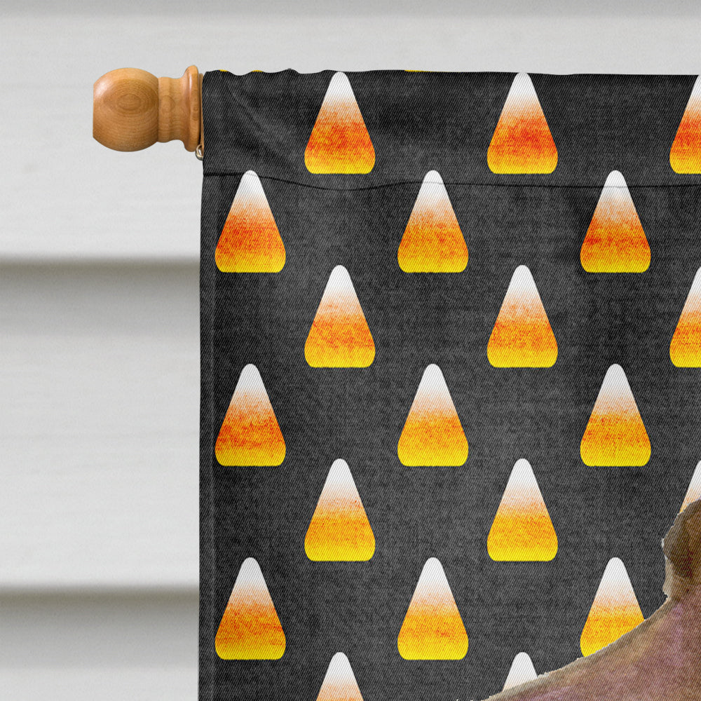 Field Spaniel Candy Corn Halloween Portrait House Flag 28x40 Porch Sleeve Pole Decorative Outside Yard Banner Artwork Wall Hanging, Polyester