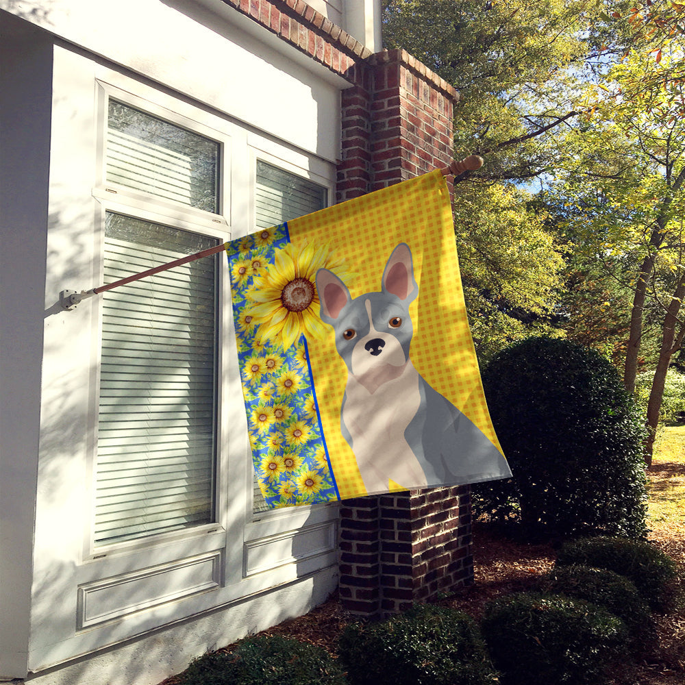 Summer Sunflowers Blue Boston Terrier House Flag 28x40 Porch Sleeve Pole Decorative Outside Yard Banner Artwork Wall Hanging, Polyester