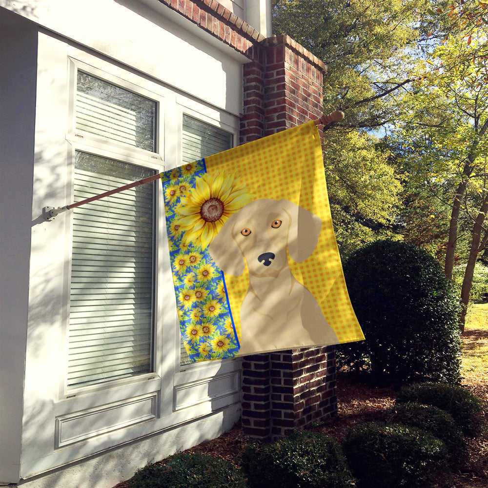 Summer Sunflowers Cream Dachshund House Flag 28x40 Porch Sleeve Pole Decorative Outside Yard Banner Artwork Wall Hanging, Polyester