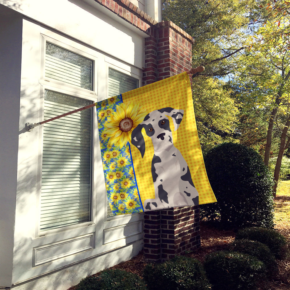 Summer Sunflowers Harlequin Great Dane House Flag 28x40 Porch Sleeve Pole Decorative Outside Yard Banner Artwork Wall Hanging, Polyester